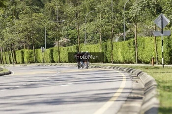 Runner Photo 2835853
