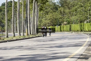 Runner Photo 2836486