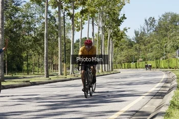 Runner Photo 2837702