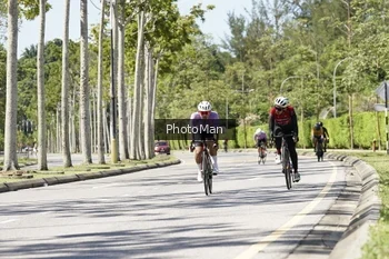 Runner Photo 2837975