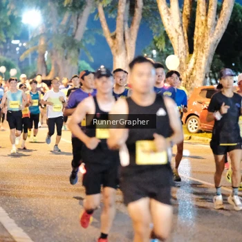 Runner Photo 2943653