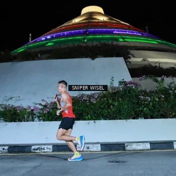 Runner Photo 2947295