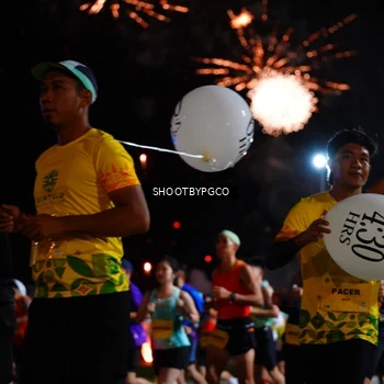 Runner Photo 2977204