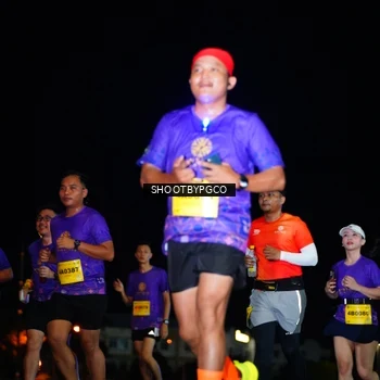 Runner Photo 2981692