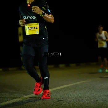 Runner Photo 3080872