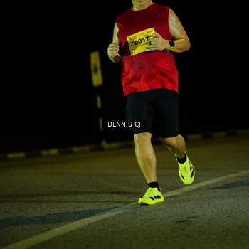 Runner Photo 3081431