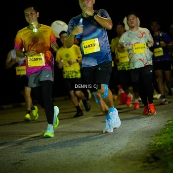 Runner Photo 3081537