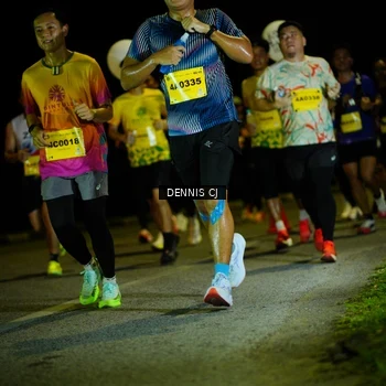 Runner Photo 3081540