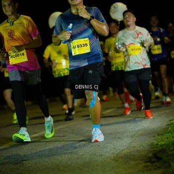 Runner Photo 3081541