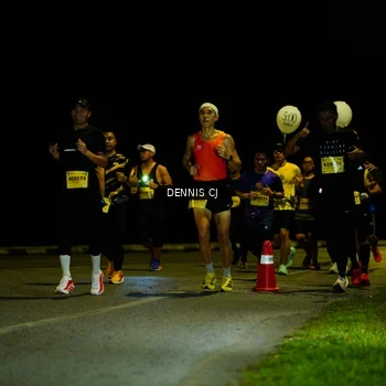 Runner Photo 3082328