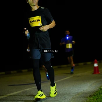 Runner Photo 3083081