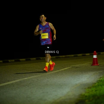 Runner Photo 3083460