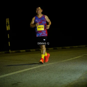 Runner Photo 3083470