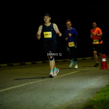 Runner Photo 3084108