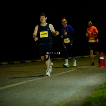 Runner Photo 3084109