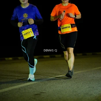 Runner Photo 3084132