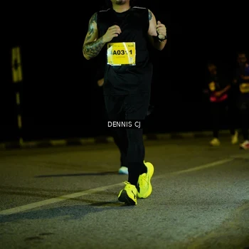 Runner Photo 3084228