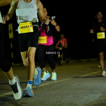 Runner Photo 3084259