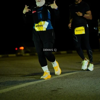 Runner Photo 3084297