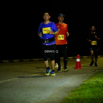Runner Photo 3084794