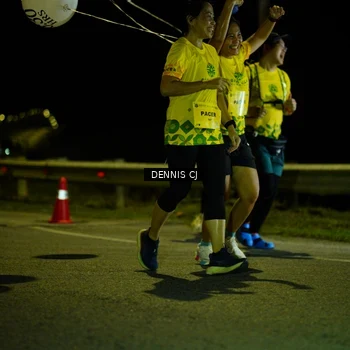 Runner Photo 3085844