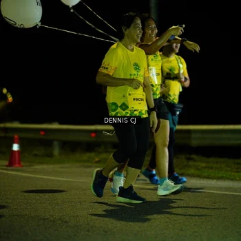 Runner Photo 3085847