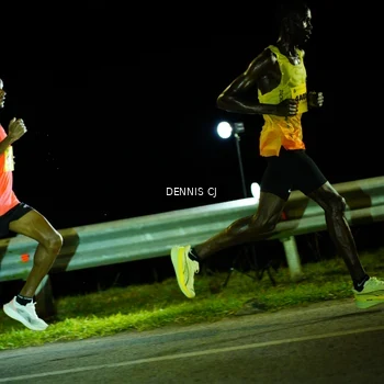 Runner Photo 3091167