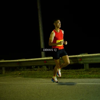 Runner Photo 3091289
