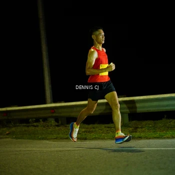 Runner Photo 3091291