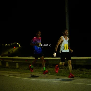 Runner Photo 3091371