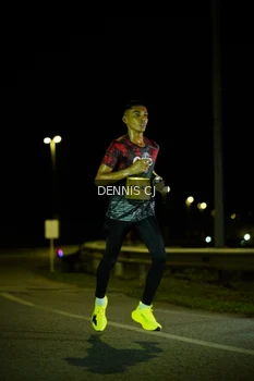Runner Photo 3091445