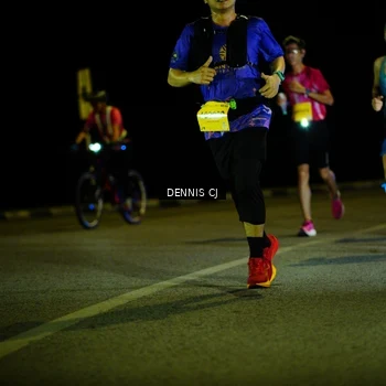 Runner Photo 3091951