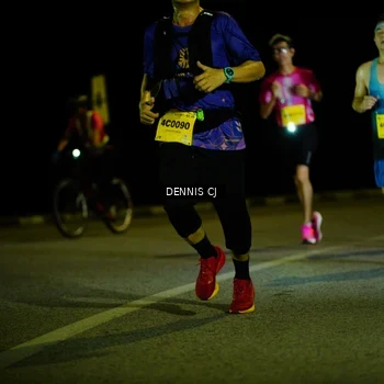 Runner Photo 3091955