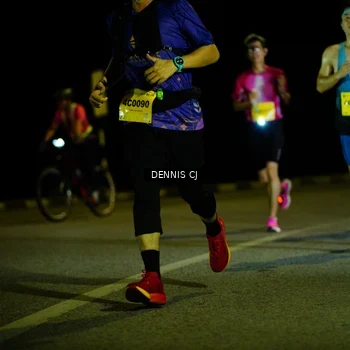 Runner Photo 3091956