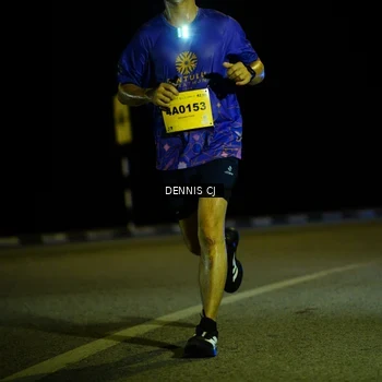 Runner Photo 3091971