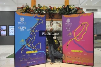 Runner Photo 3099342