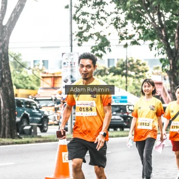 Runner Photo 3101759