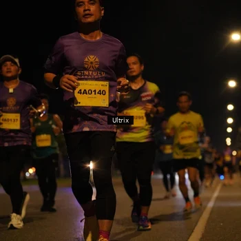 Runner Photo 3108892