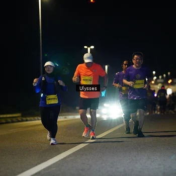 Runner Photo 3114580