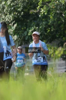 Runner Photo 3140822