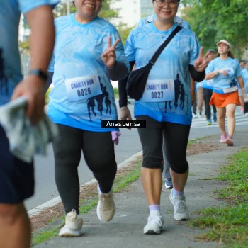 Runner Photo 3144666