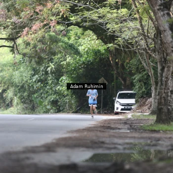 Runner Photo 3184915