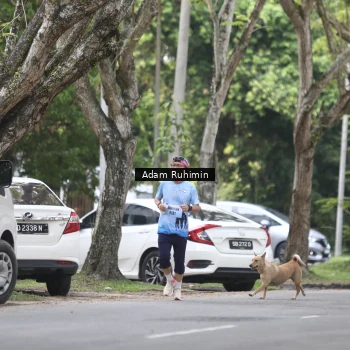 Runner Photo 3185047