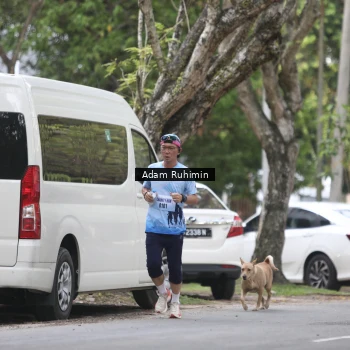 Runner Photo 3185049