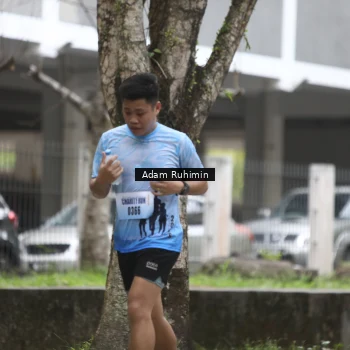 Runner Photo 3185057