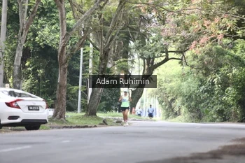 Runner Photo 3185128