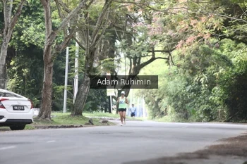 Runner Photo 3185129