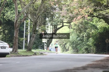 Runner Photo 3185130
