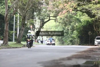 Runner Photo 3185169