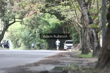 Runner Photo 3185223